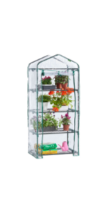 mini greenhouse
