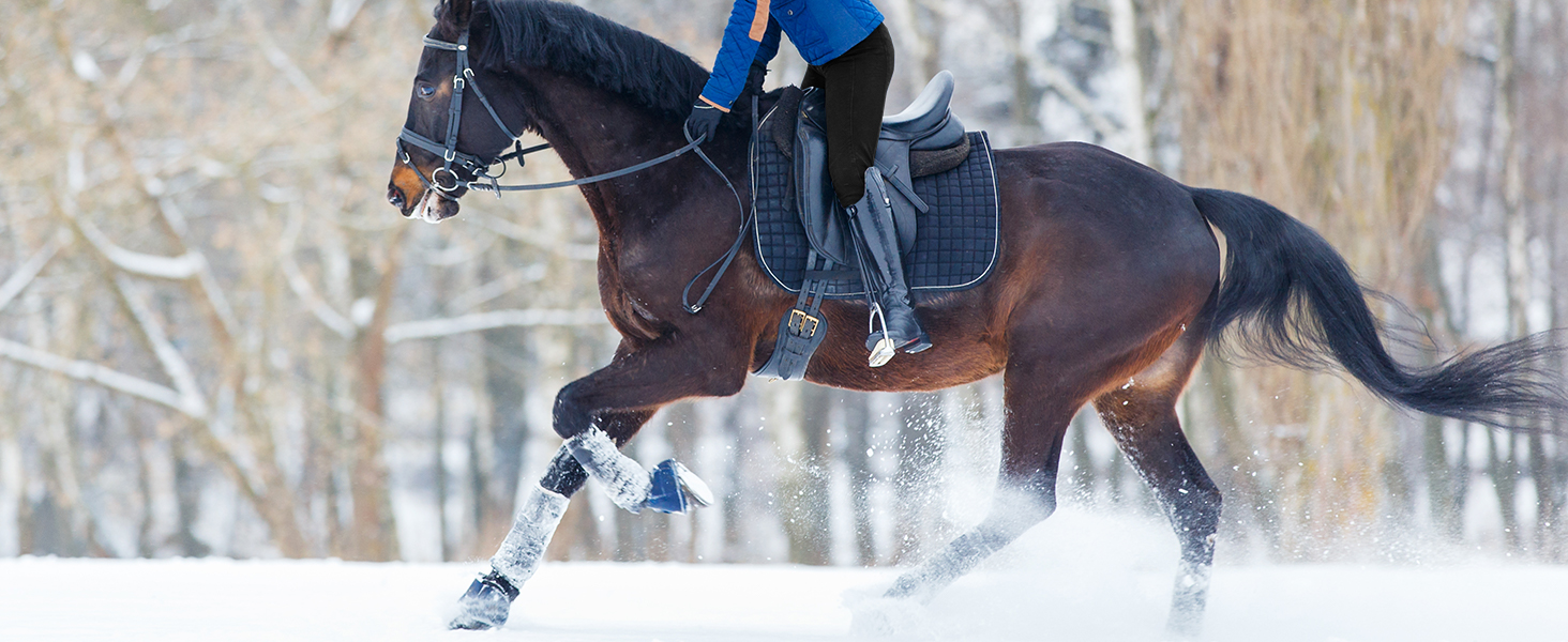 Winter riding tights schooling fleece lined riding tights ladies equestrian full seat silicon horse