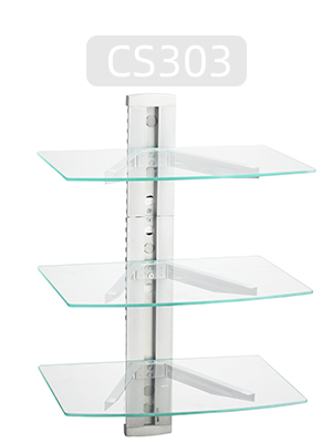 CS303S