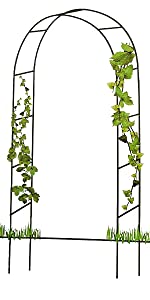 Garden Arch Metal 2M Frame