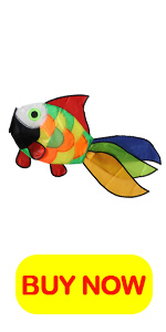 rainbow fish kite