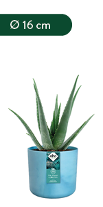 Elho The Ocean Collection pots made with maritime plastic