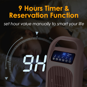 2000W Fan Heater