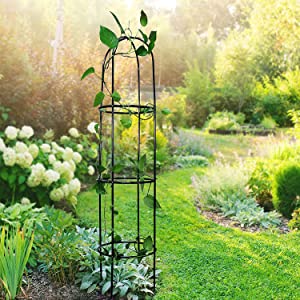 Garden Obelisk Plant Cages