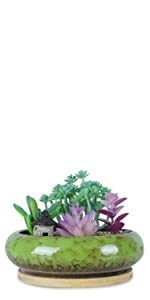 15.5 CM Succulent Plant Pot with Tray Green