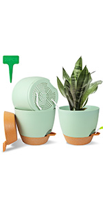 Self Watering Plant Pots