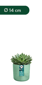 Elho The Ocean Collection pots made with maritime plastic