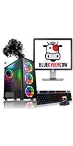 BCC Raider Bundle GT730