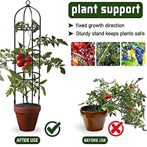 Garden Obelisk Plant Cages