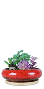 15.5 CM Succulent Plant Pot with Tray Red