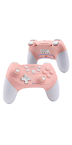switch controller
