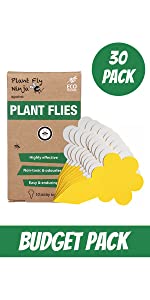 budget pack plant fly