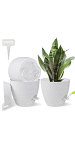 Self Watering Plant Pots