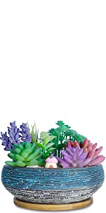 Large Succulent Plant Pot