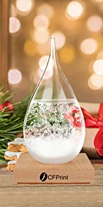 Chrismas Gift for family