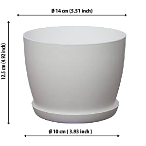 Plant pots 4