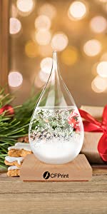 Chrismas Gift for family