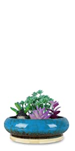 15.5 CM Succulent Plant Pot with Tray Blue