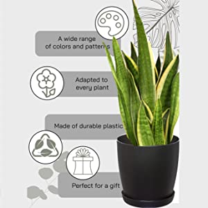 Infografika 1