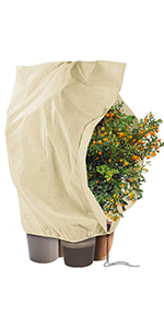 Cossteo Plant Cover 200 x 240 cm