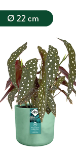 Elho The Ocean Collection pots made with maritime plastic