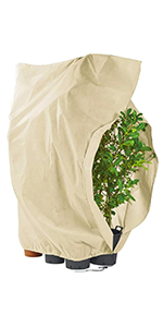 Cossteo Plant Cover 220 x 300 cm