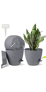 Self Watering Plant Pots