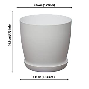 Rozmiar 1