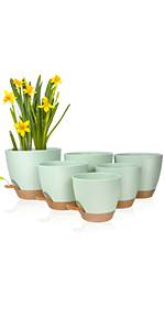 Self Watering Plant Pots