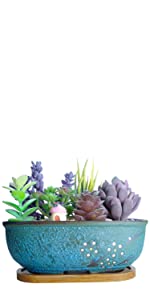 Succulent Plant Pot