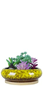 15.5 CM Succulent Plant Pot with Tray Yellow