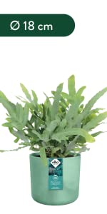 Elho The Ocean Collection pots made with maritime plastic