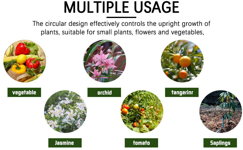 Garden Obelisk Plant Cages