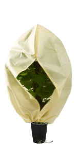 winter plant protection