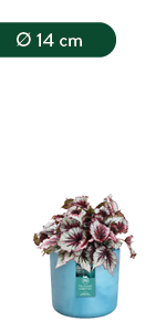 Elho The Ocean Collection pots made with maritime plastic