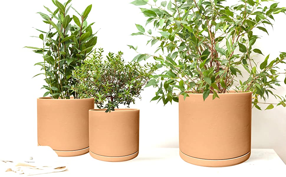 terracotta planters