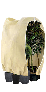 frost protection for plants