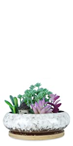 15.5 CM Succulent Plant Pot with Tray White