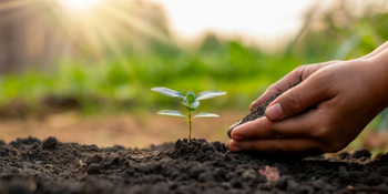 3 Co-founders of 1 Tree Cards holding sign saying '325,000+ TREES PLANTED'