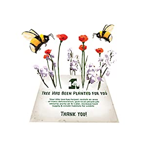 Hand drawn image of recycled greeting card with brand logo and 'Each card includes'