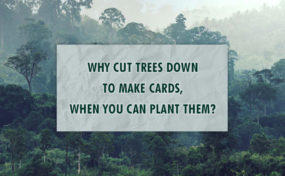 Eco greeting cards with 'Plant Trees' & 'Feed Bees' above the text 'Can a card change the world?'