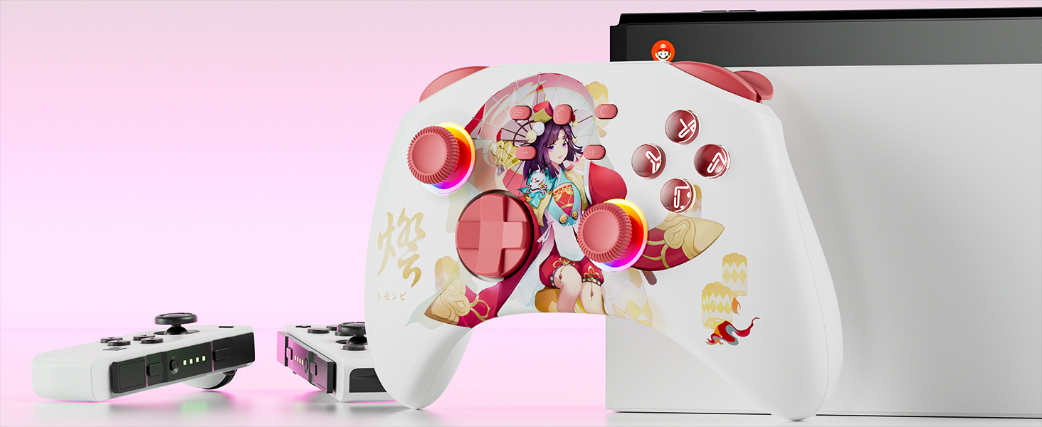 Pro Controller of Nintendo Switch