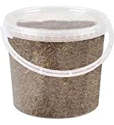 UK GROW Premium Dried Mealworms in a Bucket / Tub (1 Ltr)