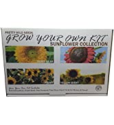 Salad Seed Grow Your Own Kit with Tomato Cucumber Spring Onion Marconi Pepper Rocket & Lettuce Se...