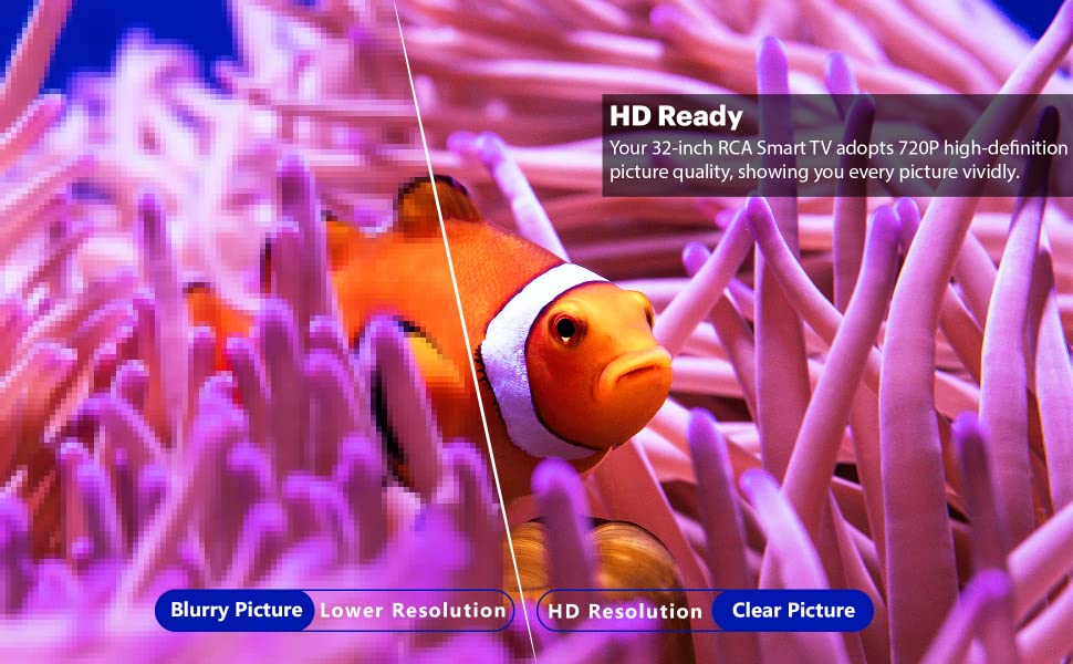 23 inch HD Smart TV chip