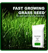 Vegetable Garden Grow Your Own Kit with Carrot Swede Cabbage Brussel Sprout Pea & Cauliflower See...