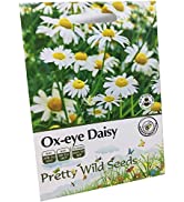 5g Common Field Poppy Seeds in Pictorial Packet from a UK Seller Approx. 50,000 Papaver Rhoeas Wi...