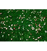 1Kg Organic Grass Seed for a 100% Organic Hard Wearing Lawn