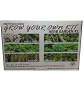 Christmas Seedsticks Unique Xmas Gifts Perfect for Stocking Fillers & Party Bags Wildflower or Xm...