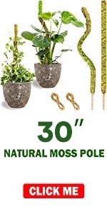 30“ （75cm) moss pole for plants